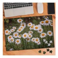 3439573 Kır Papatyaları Çiçek Peyzaj 240 Parça Puzzle Yapboz