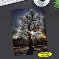 347171504 Gün Batımı Ağaç Silüeti 240 Parça Puzzle Yapboz