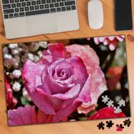 3507330 Pembe Gül 240 Parça Puzzle Yapboz