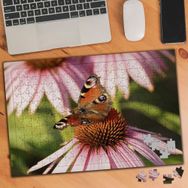 3514955 Çiçek Üstündeki Benekli Kelebek 240 Parça Puzzle Yapboz