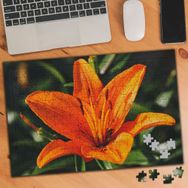 3520837 Turuncu Egzotik Çiçek 240 Parça Puzzle Yapboz