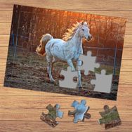 3591161 Ormanda Koşan Beyaz At Çocuklara Özel Puzzle Yapboz Tablo