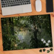 3622 Valdivian Ilıman Yağmur Ormanı 240 Parça Puzzle Yapboz