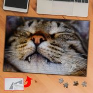 3696 Dişli Uyuyan Kedi 240 Parça Puzzle Yapboz Tablo