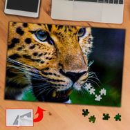 3700 Pars Portresi Leopar 240 Parça Puzzle Yapboz Tablo
