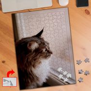 3707 Pencereden Bakan Kedi 240 Parça Puzzle Yapboz Tablo
