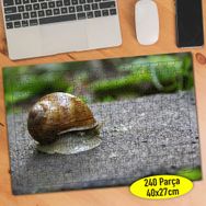 37183 Kabuğuna Saklanan Salyangoz 240 Parça Puzzle Yapboz