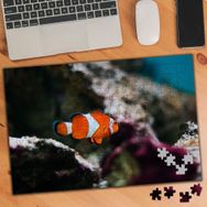384933 Yalnız Balık Turuncu Nemo 240 Parça Puzzle Yapboz