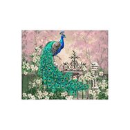 40x50 cm Renkli Tavuskuşu Sayılarla Boyama Seti Rulo Duvar Sticker