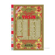 41 YASIN (CAMI BOY-2 RENK-TÜRKÇE OKUNUŞLARI VE AÇIKLAMALARI) - ELMALILI MUHAMMED HAMDI YAZIR