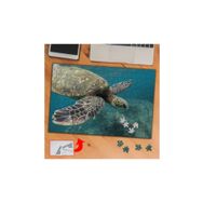 437293 Denizdeki Büyük Kaplumbağa 240 Parça Puzzle Yapboz Tablo