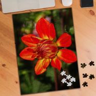 482337 Kırmızı Açan Çiçek 240 Parça Puzzle Yapboz