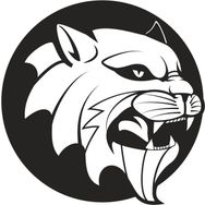 50 cm Aslan 8 Folyo Sticker