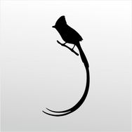 50 cm Hint Bülbülü Folyo Sticker