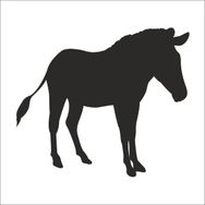 50 cm Zebra Folyo Sticker