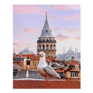50x65 cm Galata Kulesi ve Martı Sayılarla Boyama Seti Rulo Duvar Sticker
