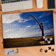 567 Kurumuş Ağaç Ve Boş Arazi 240 Parça Puzzle Yapboz Tablo