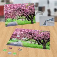 5859139 Bahar Ağaçlar Kiraz Çiçeği 99 Parça Puzzle Yapboz Tablo