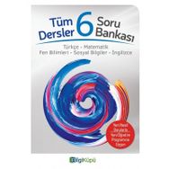 6.Sınıf Tüm Dersler Soru Bankası Bilgi Küpü Yayınları