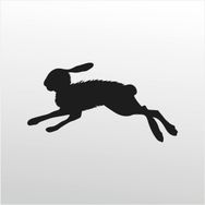60 cm Çöl Tavşanı Folyo Sticker