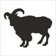60 cm Dağ Keçisi Folyo Sticker