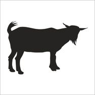 60 cm Keçi Folyo Sticker