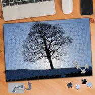 657 Güneşli Sabahta Karlı Ağaç 240 Parça Puzzle Yapboz Tablo