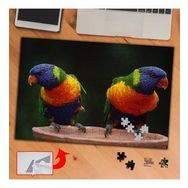 6CD8 İkiz Renkli Kuşlar Hayvan 240 Parça Puzzle Yapboz Tablo