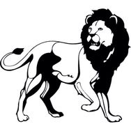 70 cm Aslan Lion Folyo Sticker