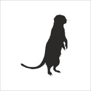 70 cm Gelincik Folyo Sticker