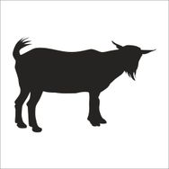 70 cm Keçi Folyo Sticker