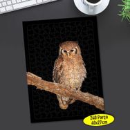 70143429 Dalda Oturan Sevimli Baykuş 240 Parça Puzzle Yapboz