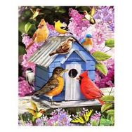70x90 cm Kuşların Evi Sayılarla Boyama Seti Rulo Duvar Sticker