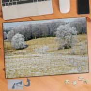 719 Beyaz Örtülü Ağaçlar Doğa 240 Parça Puzzle Yapboz Tablo