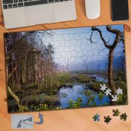 720 Cılız Ağaçlar Ve Bataklık 240 Parça Puzzle Yapboz Tablo