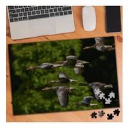 74464 Göçebe Kuşlar 240 Parça Puzzle Yapboz