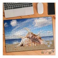 74777 Kumsalda Deniz Kabukları 240 Parça Puzzle Yapboz