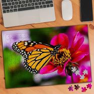 74792 Pembe Çiçek Üstünde Güzel Kelebek 240 Parça Puzzle Yapboz