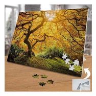 74857 Sararmış Ağaç Yaprakları 240 Parça Puzzle Yapboz