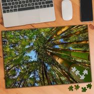74940 Ters Çekim Bambu Ağaçları 240 Parça Puzzle Yapboz