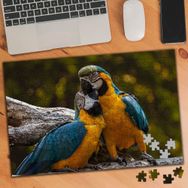 75092 Afrika Papağanı Sevimli Kuş 240 Parça Puzzle Yapboz
