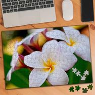 75136 Beyaz Hoş Çiçek Peyzaj 240 Parça Puzzle Yapboz