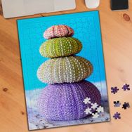 75282 Renkli Deniz Kestaneleri 240 Parça Puzzle Yapboz