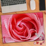 75352 Pembe Açmış Çiçek Gül 240 Parça Puzzle Yapboz