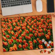 75354 Renkli Lalele Bahçesi Bitki 240 Parça Puzzle Yapboz