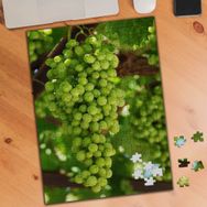 75381 Üzüm Asma Ağacı Meyve 240 Parça Puzzle Yapboz