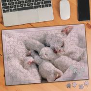 75417 Anne Kedi Ve Yavruları 240 Parça Puzzle Yapboz