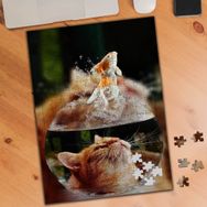 75437 Fanustaki Balığı İzleyen Kedi 240 Parça Puzzle Yapboz