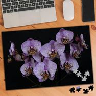 75467 Siyah Zeminde Mor Orkide Çiçeği 240 Parça Puzzle Yapboz
