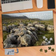 764 Çimenlerin Üstünde Kayalar 240 Parça Puzzle Yapboz Tablo